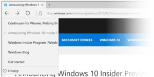 Verbesserte Edge-History mit Windows 10 Insider-Preview Build 11102